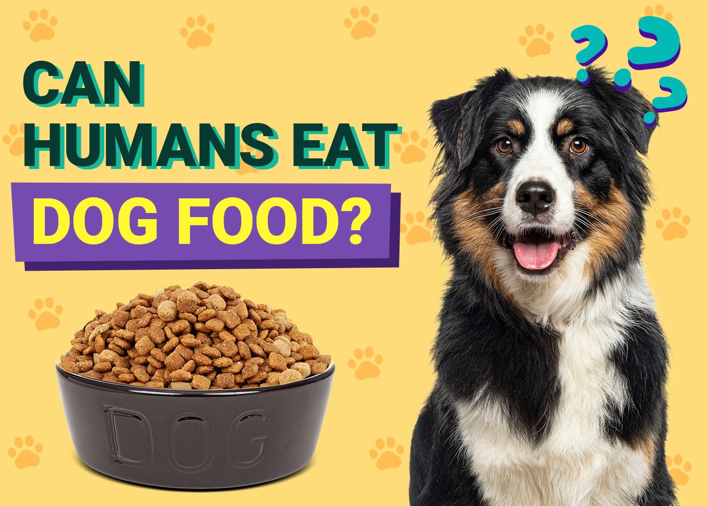 Can a Human Eat Dog Food