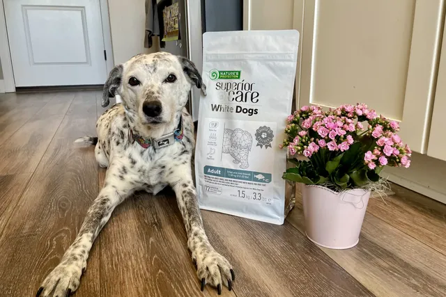Superior Care White Dogs Grain-Free Small Breed Dog Food Review 2026: Our Expert’s Opinion