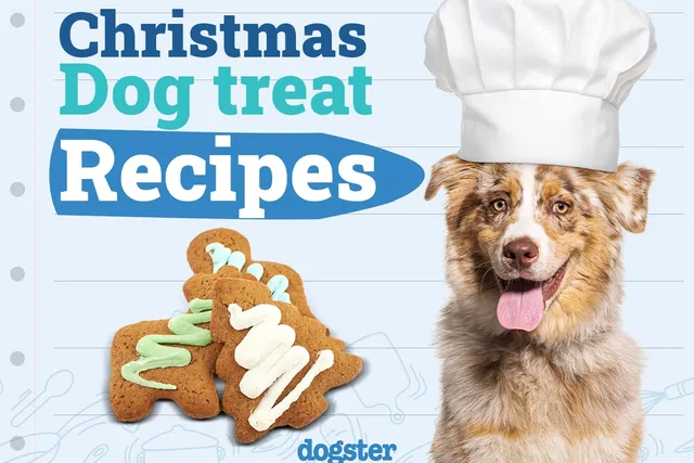 Christmas dog treat recipes