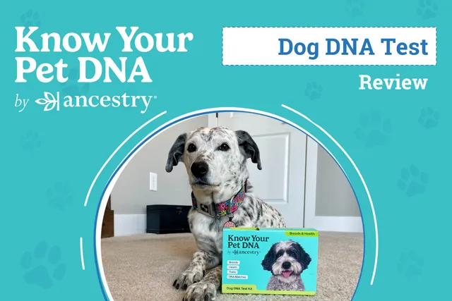 Know Your Pet DNA by Ancestry Review 2026: Our Experience Building Ragz' Family Tree