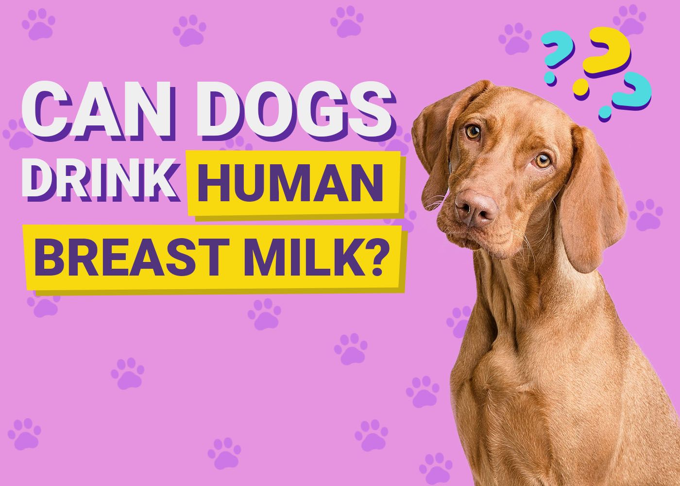 Can Dogs Drink Human Breast Milk