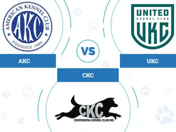 AKC vs CKC vs UKC Registries: The Main Differences