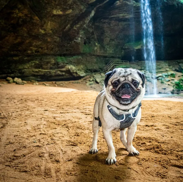 ash cave
