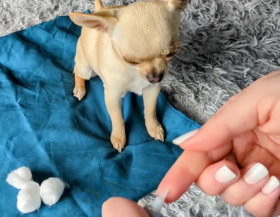 Squeeze a 1cm strip of the eye ointment onto your finger.