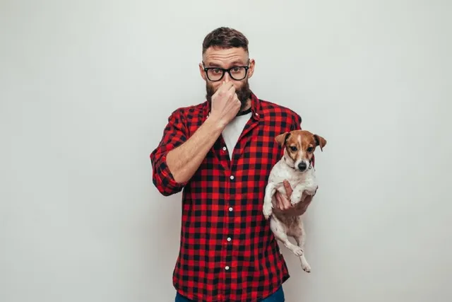 Why Does My Dog Smell Like Burnt Hair? Reasons, Suggestions & FAQ