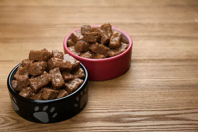 Can You Warm Up Dog Food? Vet Approved Facts & Tips