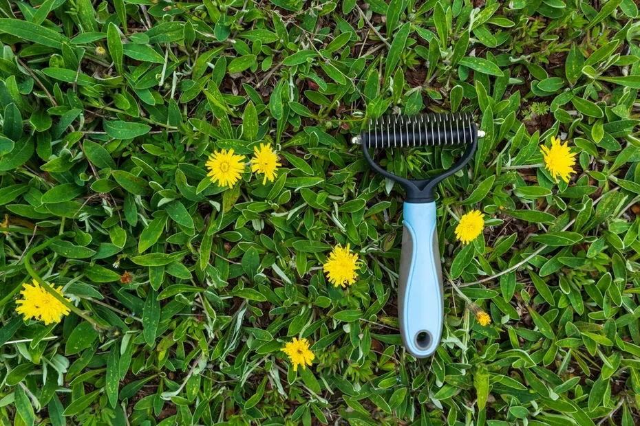 a deshedding tool for dog fur