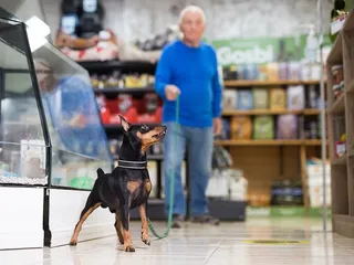 Are Dogs Allowed in TJ Maxx in 2026? Pet Policy & FAQ