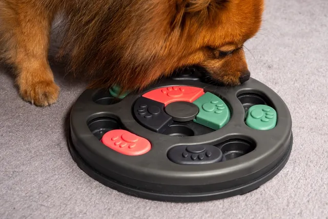 A Guide to Using Food Puzzle Toys With Your Dog: Choosing, How to & More (Vet-Verified)