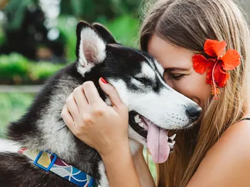 Traveling to Hawaii With a Dog: Vet-Verified Checklist for a Smooth Trip
