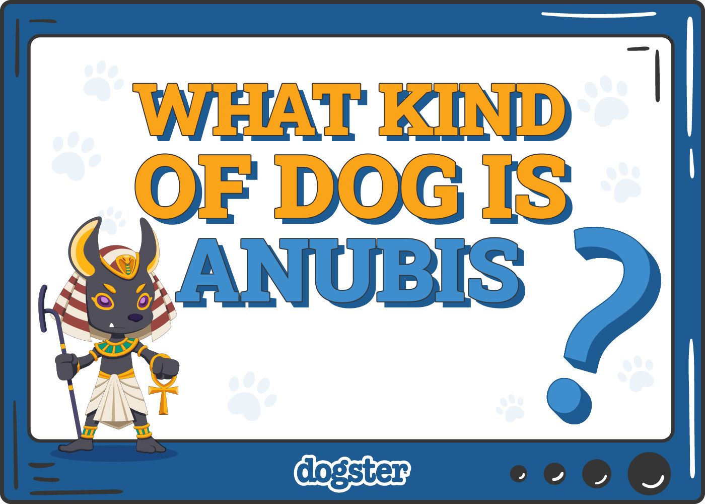 Dogster_What Kind of Dog is Anubis