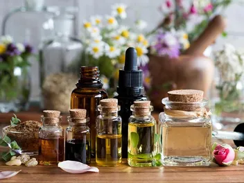 Will Essential Oil Calm My Dog? Facts & FAQ