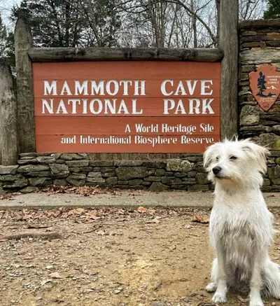 Mammoth Cave National Park