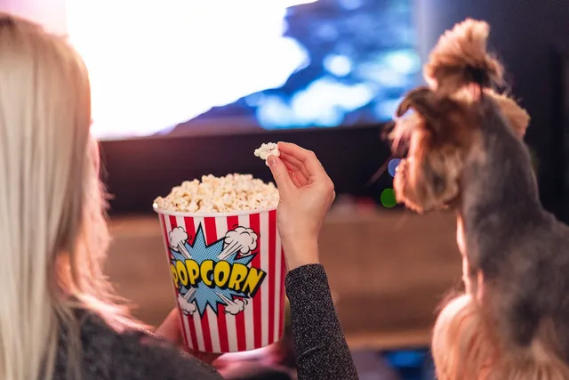 10 Halloween Dog Movies to Watch With Your Pup in Spooky Season