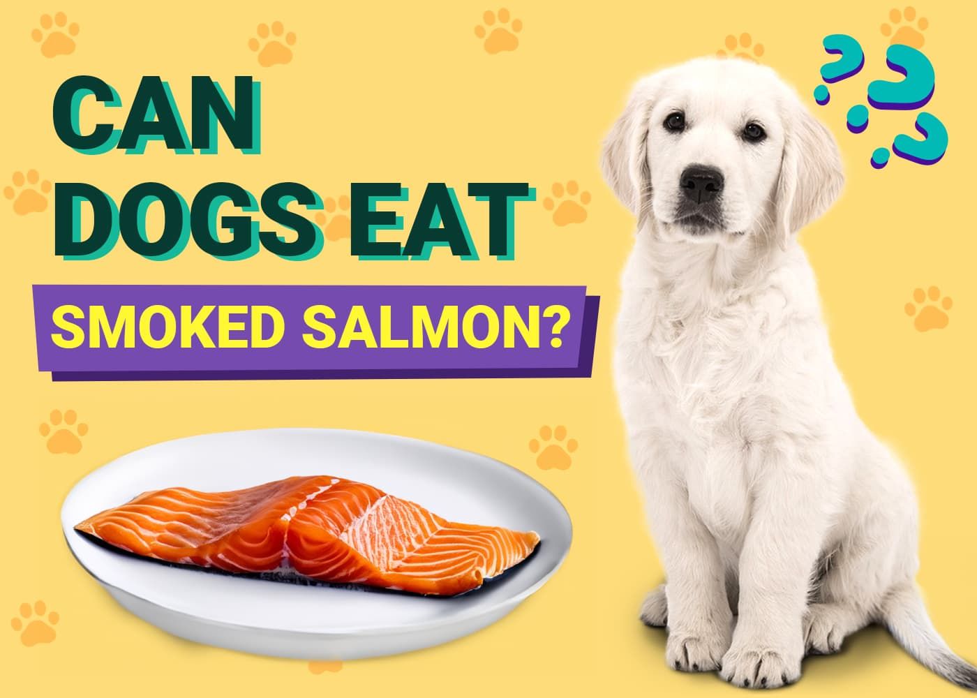 Can Dogs Eat Smoked Salmon