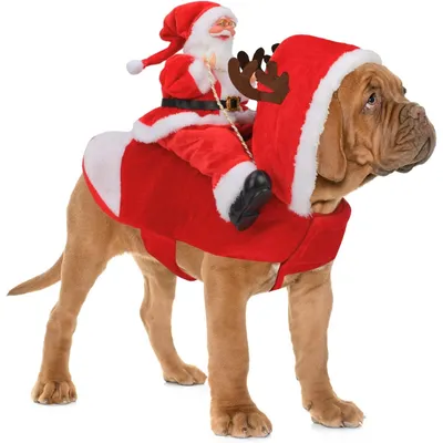 Santa Dog Costume