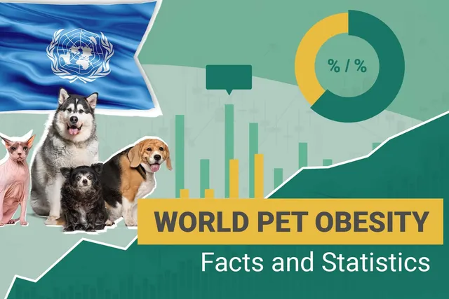 10 Pet Obesity Statistics Know in 2026: Dogs, Cats & Other Pets