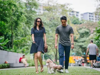 How to Train Your Dog To Be Calm in Public: 10 Vet-Approved Tips