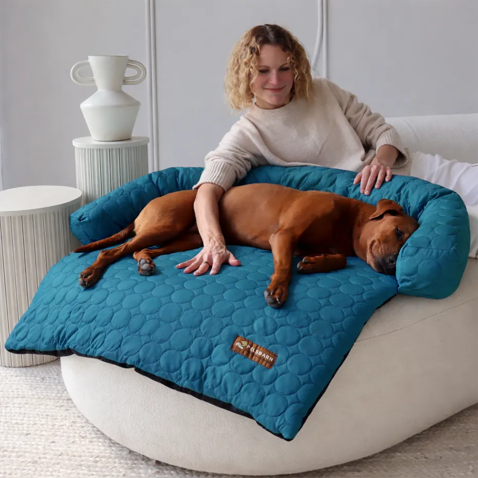 Woman petting a brown dog resting on a Pelsbarn cooling bed