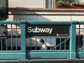 Are Dogs Allowed on the NYC Subway? Guidelines & Exceptions