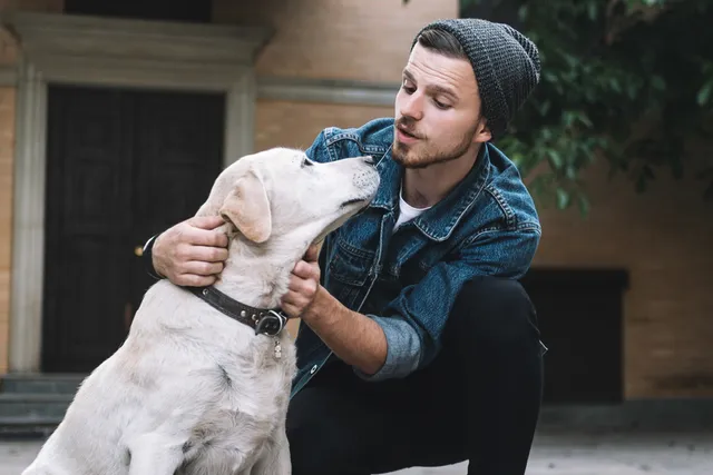 Do Dogs Like It When You Talk to Them? Vet-Reviewed Facts & Communication Tips