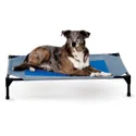 K&H Pet Products Coolin' Cot Elevated Dog Bed
