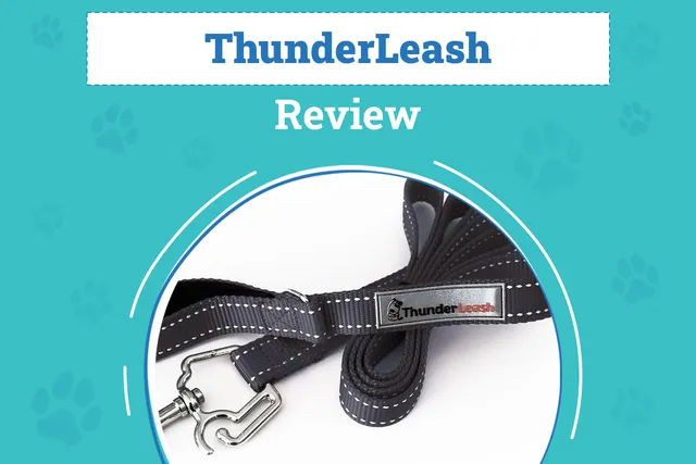 ThunderLeash Review (2026): Pros, Cons & Final Verdict