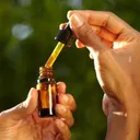 The Truth About Castor Oil and Dogs: What Vets Want You to Know