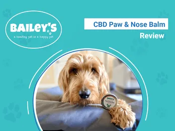 Bailey’s CBD Paw & Nose Balm Review 2026: An Expert's Breakdown