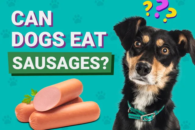 Can Dogs Eat Sausages? Vet-Verified Facts & FAQ
