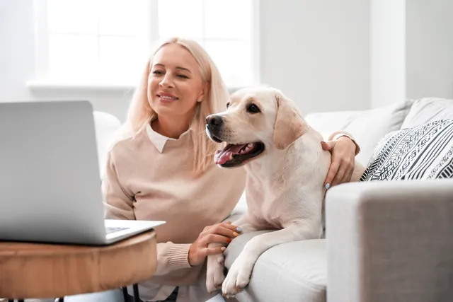 How to Get Vet Prescriptions Online: Our Vet Explains the 5 Steps & FAQ