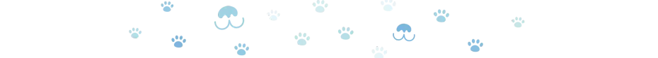 divider dog paws 4 oct 2024