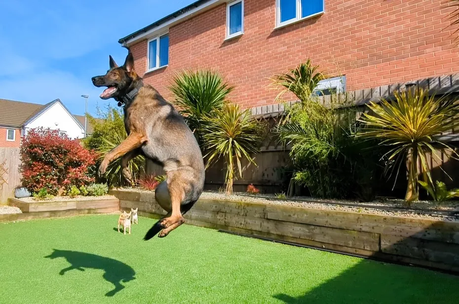Water induced acrobatics with Kodah, Ned and Fred