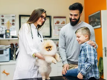 National Heartworm Awareness Month 2026: When It Is & Health Tips