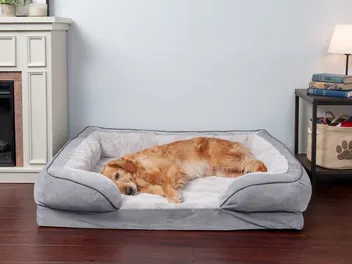 10 Best Orthopedic Dog Beds for Large Breeds in 2026 - Reviews & Top Picks