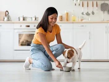 Elimination Diet for Dogs: What Is It & When Should It Be Used (Vet Answer)