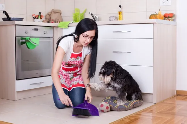 Why Is My Dog Pooping in the House? 8 Vet-Reviewed Reasons