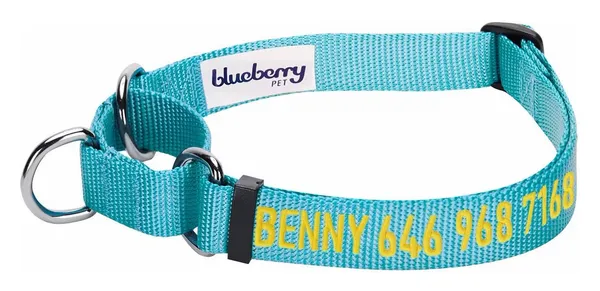 Blueberry Pet Training Martingale Collar
