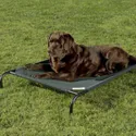 Coolaroo Steel-Framed Elevated Dog Bed