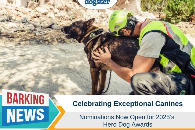 Celebrating Exceptional Canines: Nominations Now Open for 2025’s Hero Dog Awards®