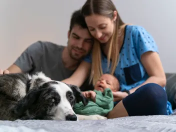 Do Dogs Get Jealous of Babies? Vet-Verified Facts & Prevention Tips