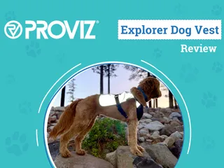 Proviz Explorer Dog Vest Review 2026: Can Everybody See Micah at Night?