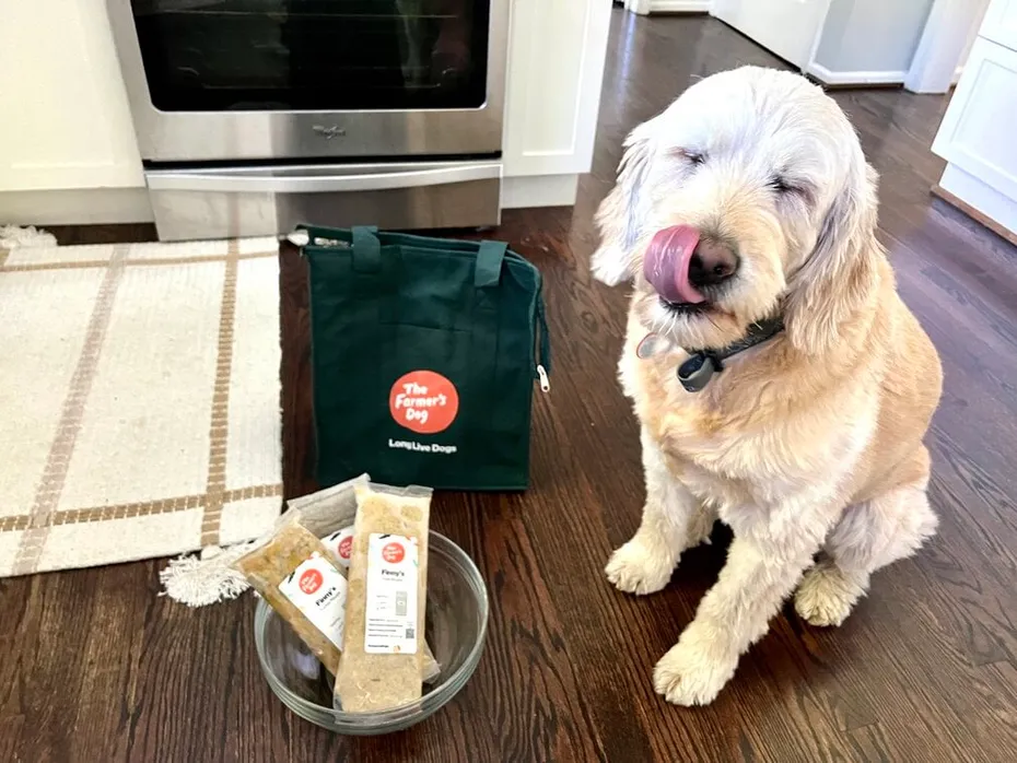 Finny licking her lips with the farmers dog food
