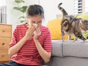 Can You Be Allergic to Cats But Not Dogs? (Vet Answer)