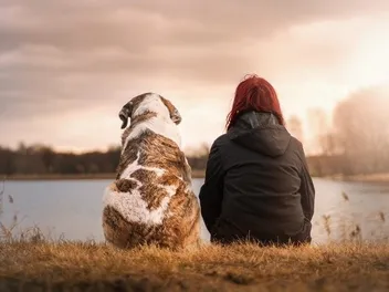 How Many Emotional Support Animals Can You Have? Regulations & FAQ