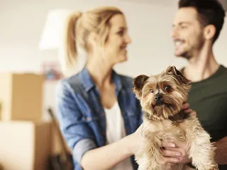 New Puppy Checklist: 23 Vet-Approved Supplies