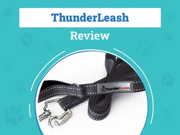 ThunderLeash Review (2026): Pros, Cons & Final Verdict