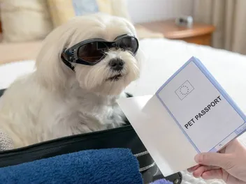 How Much Does a Canadian Pet Passport Cost? 2026 Price Guide