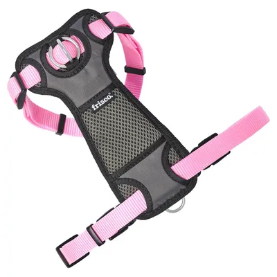 Frisco No-Pull Padded Nylon Dog Harness