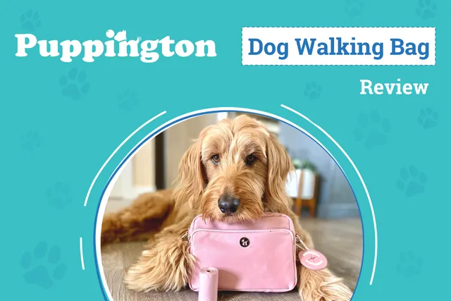 Puppington 3-in-1 Crossbody Dog Treat Pouch Review 2026: Walk Your Furry Friend in Style